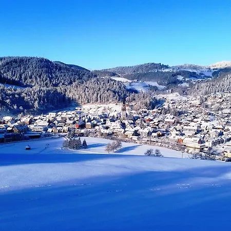 Apartamento Ferienwohnung Talblick Schönau im Schwarzwald
